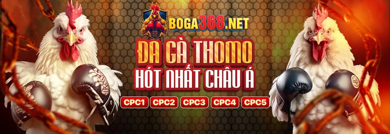 Ưu đãi độc quyền y088
